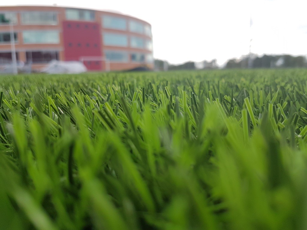 Proyecto de pasto sintético instalado por Propastos Sintéticos